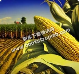 安全可靠，专业服务 - C7娱乐